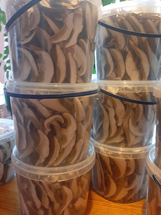 грибы белые сушеные без песка Закарпатья