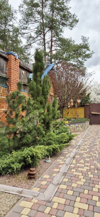 Продаж будинку с. Піщанка