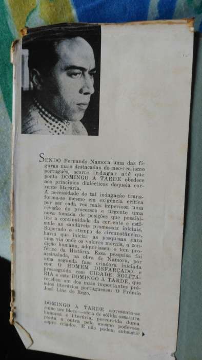 livro Domingo a Tarde - Fernando Namora