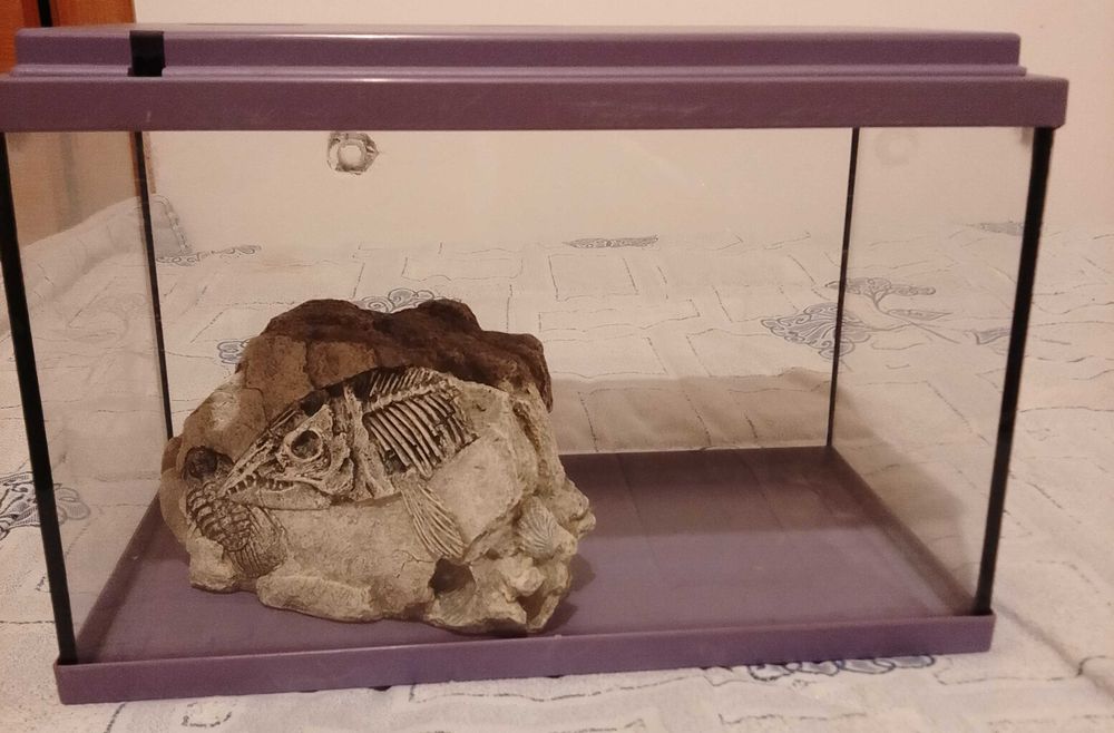 Aquário para peixes.