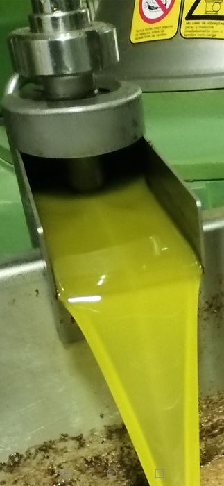 Azeite caseiro de Valpaços com promoção