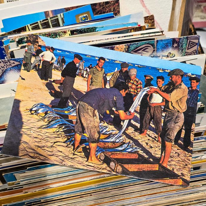 Postal Antigo–Sesimbra Portugal–Escolha de Peixe na Praia(Década 1950)