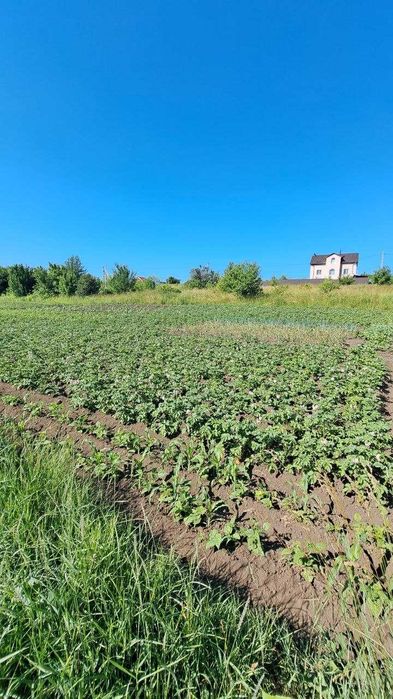 Земельна ділянка в Дубово чудове місце для садівництва та відпочинку!