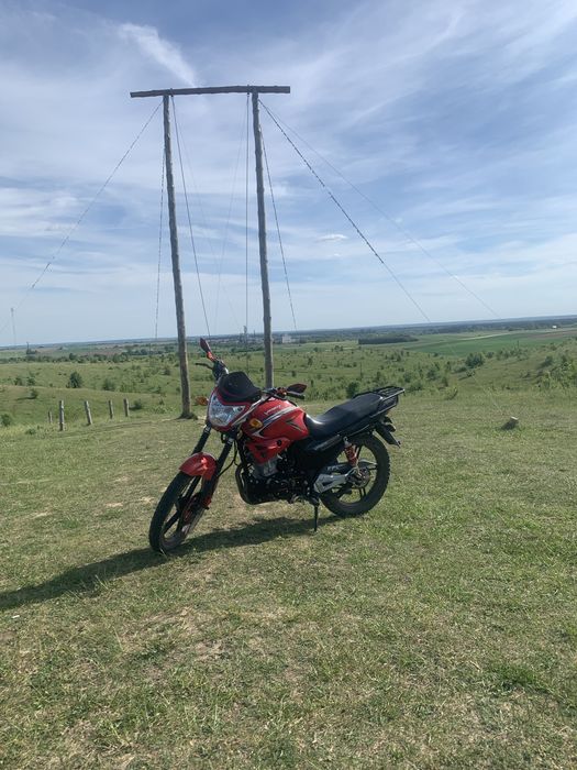 Продам zs viper 200a торг