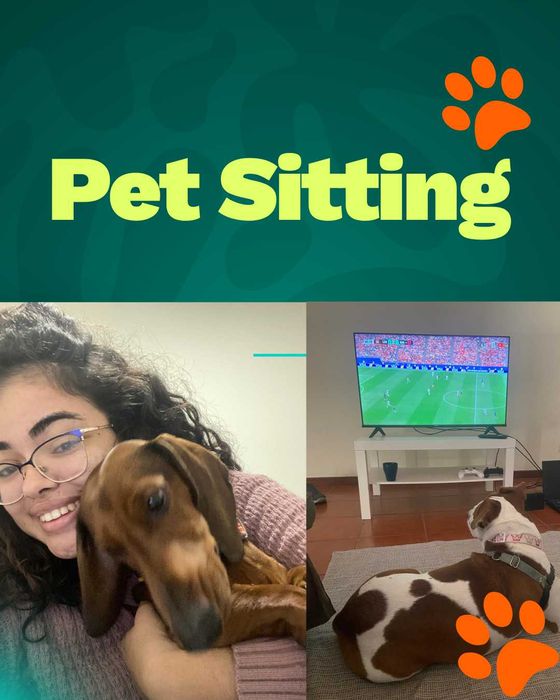 Pet sitting em Braga
