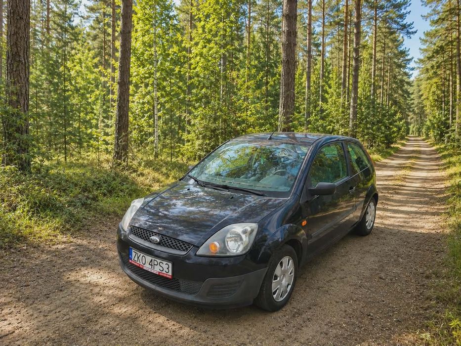 Ford Fiesta MK6, 2006r, 1.4 TDCI, prawny, w bdb stanie
