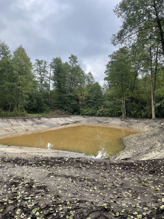 Kopanie stawu, koparka Long, długie ramie, roboty ziemne, staw, wykopy