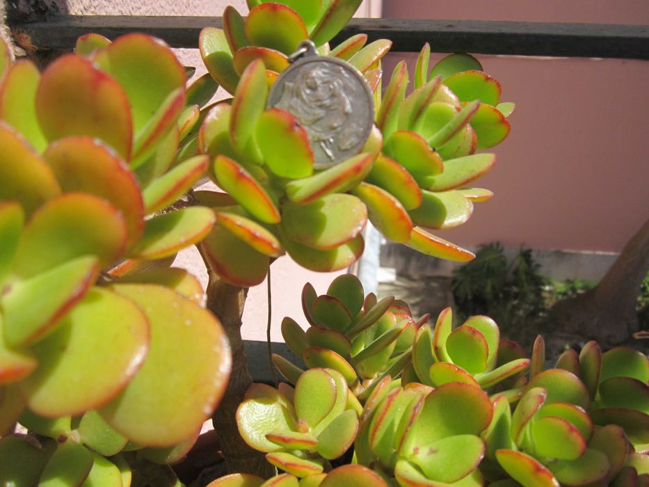 Medalhão / Pingente Vénus 1982