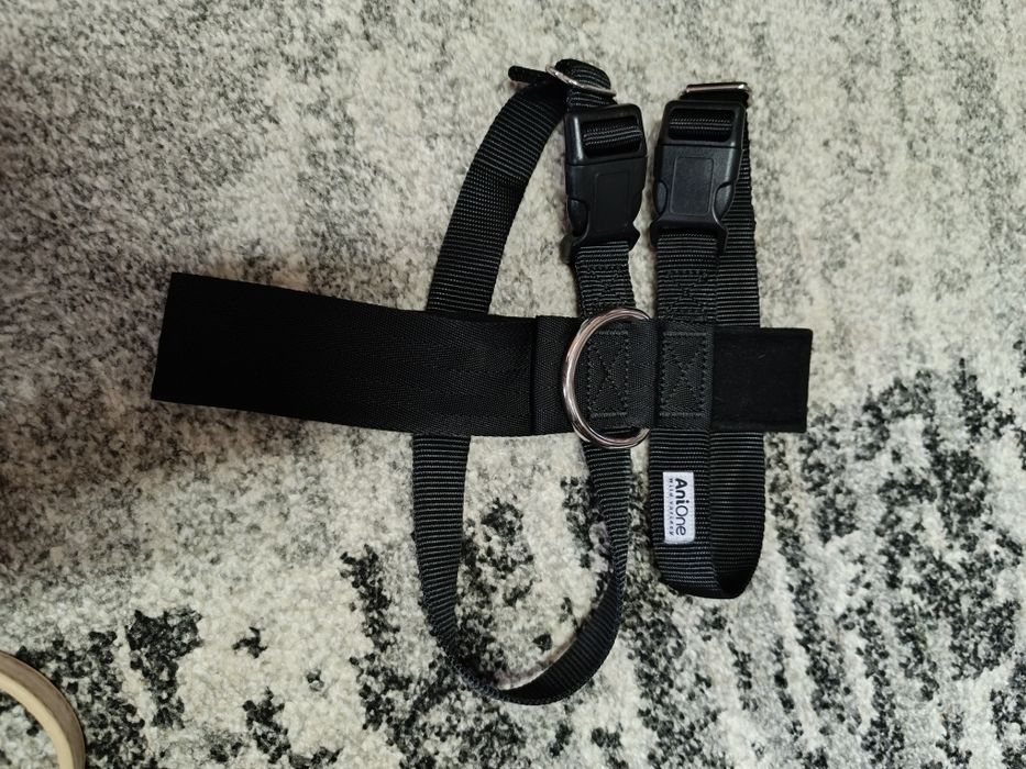 Речі  і амуніція для песика