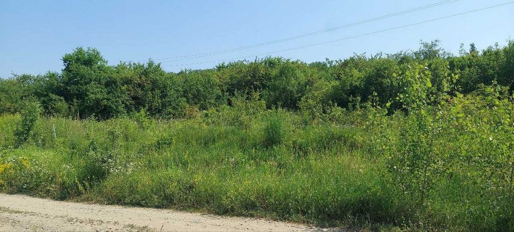 Земельна ділянка с. Валя Кузьміна
