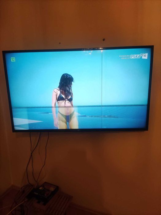 Telewizor LG 49LH510V