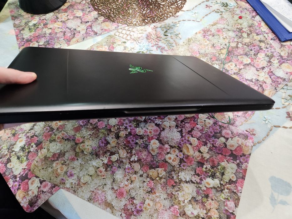 Razer blade pro 17 GTX 1060 6GB