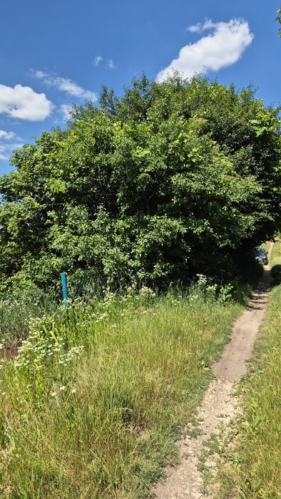 Продається дачна ділянка Львівські другі дачі