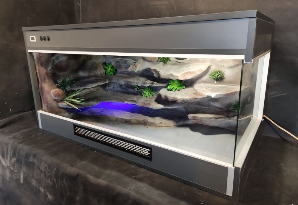 Terrarium promocja