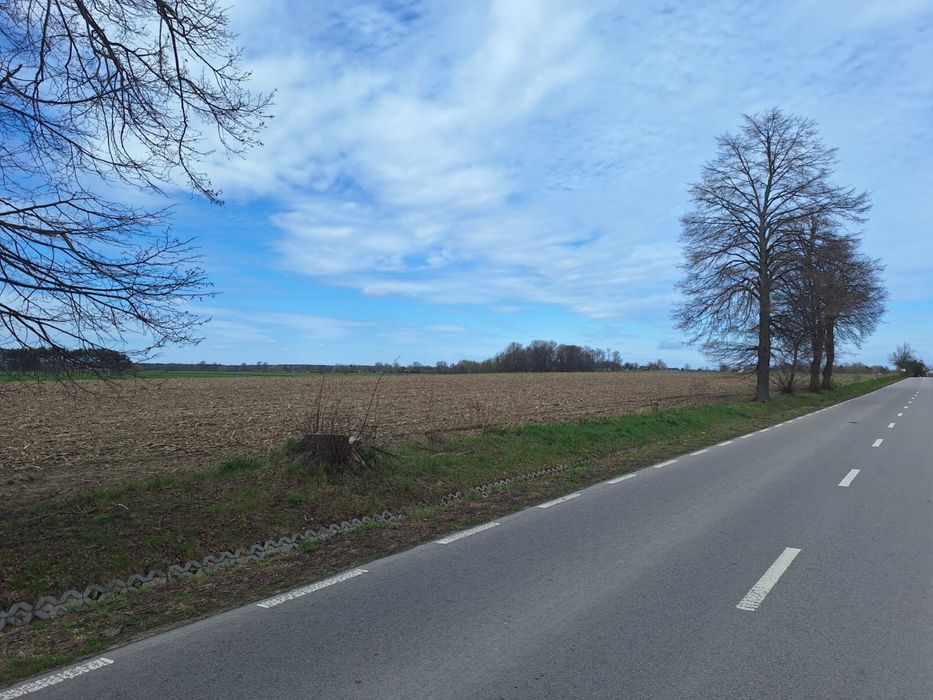 Działki Radzików Wielki blisko Autostrady A2 - 306mx73m - 2,338 ha
