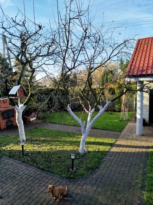 Sprzedam dom w miejscowości Sompolno