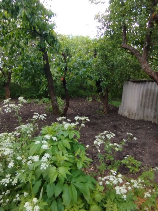 Дом с участком с.Котовка