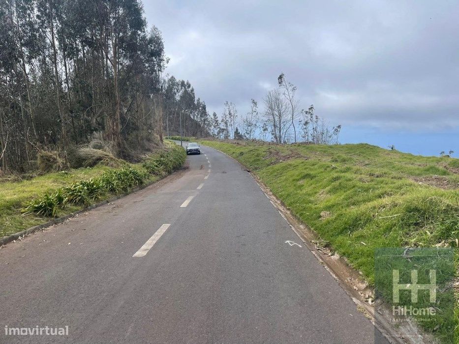 Terreno Rústico com 36.312 m2 no Campanário, Ribeira Brava