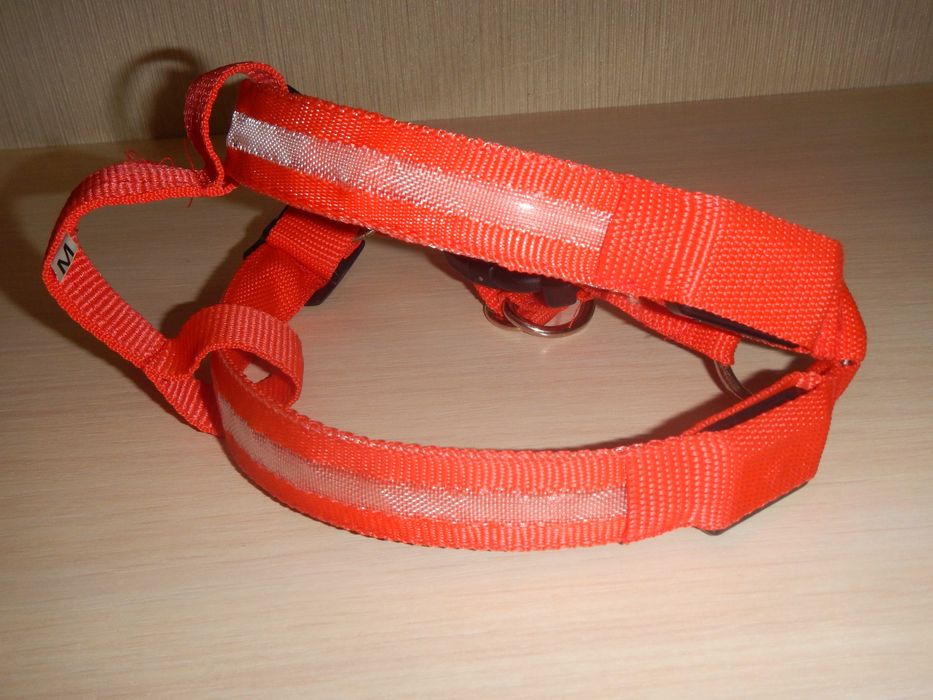 шлея зі світлодіодами р.М(44см)