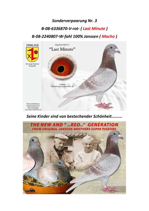 ***Top 100% Gerb. Janssen ***