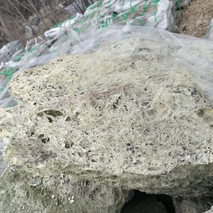 Spaghetti brązowe/ Spaghetti Green, zielone, kamień do akwarium