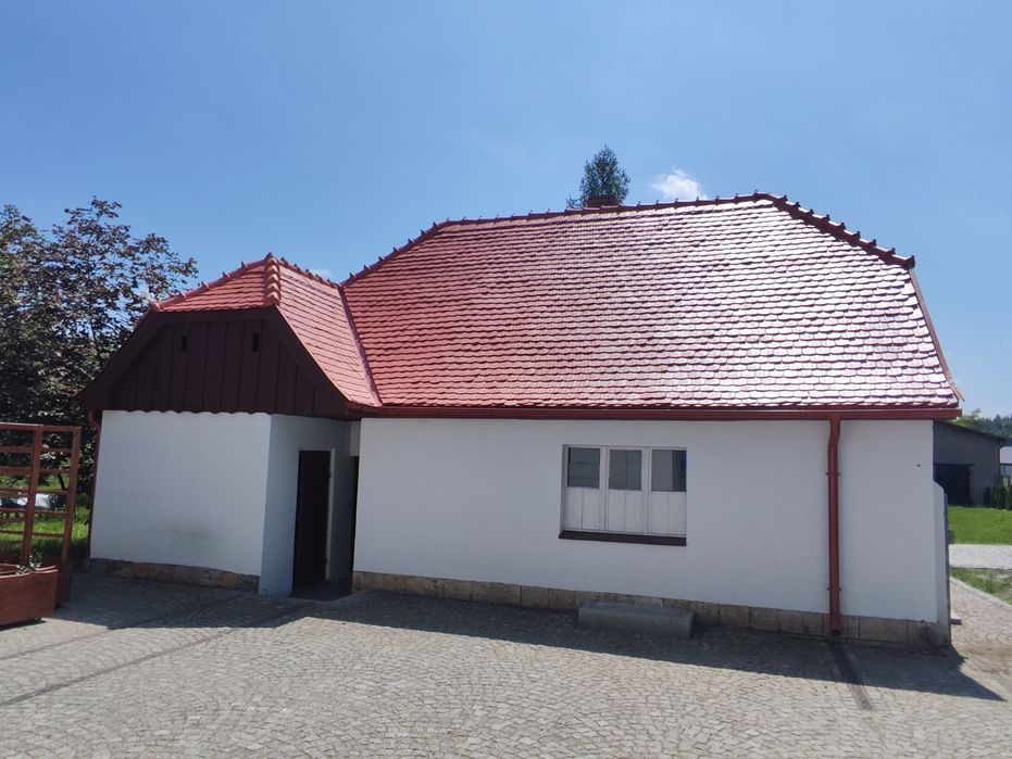 Malowanie Dachów i Elewacji mycie kostki  na terenie całej P