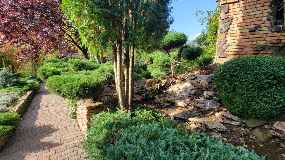 Світло завжди !! Бассейн, чан, баня, река, сапы, каяки,бильярд