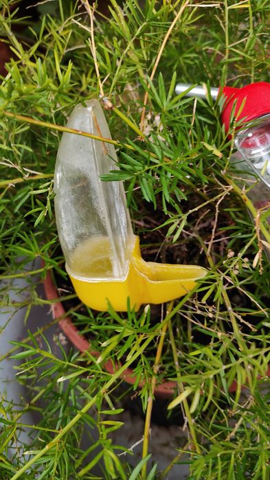 Поїлка для гризунів та попугая