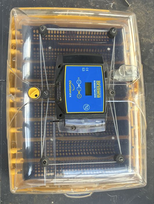 Chocadeira Ovation 56 ECO