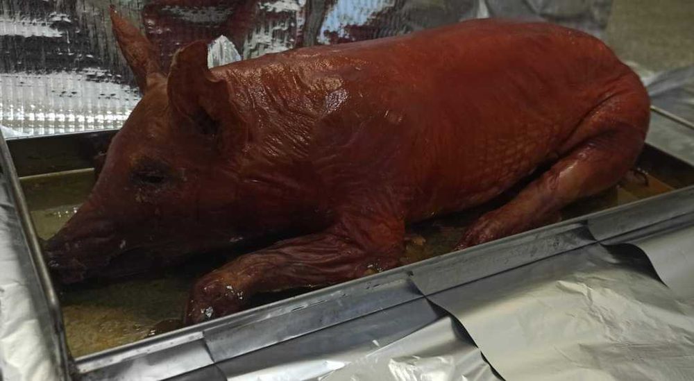 PROSIAK PIECZONY, prosie, dzik pieczony, prosiak na ognisko, na grilla