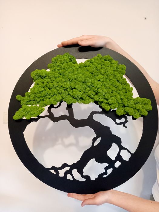 Drzewko bonsai. Obraz z mchu chroboteka 60 cm.Prezent.