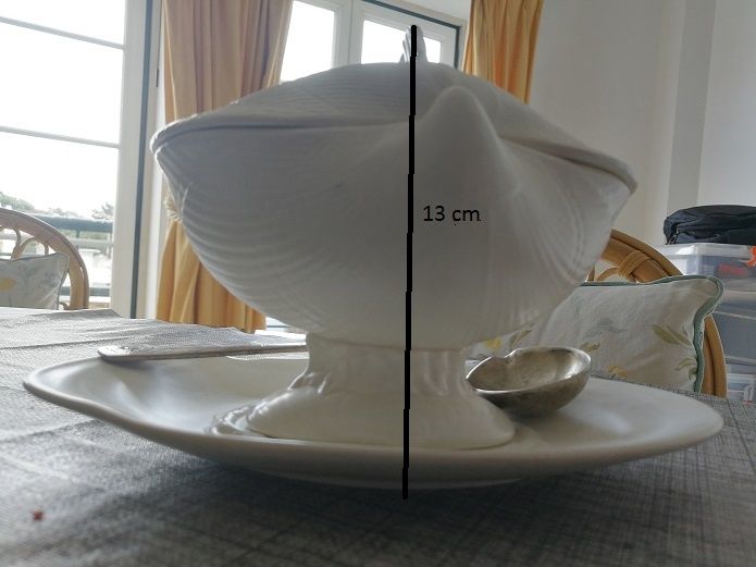 Molheira em formato de concha