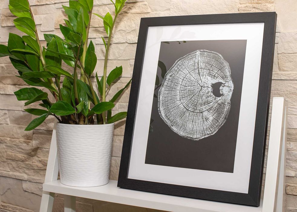 Obraz w ramie BOTANICZNY Plakat PLASTER DREWNA ramka 30 x 40 cm