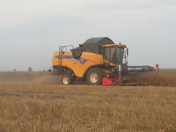 Tarif Symptomer udvikle Kombajn New Holland - Rolnictwo w Kujawsko-pomorskie - OLX.pl