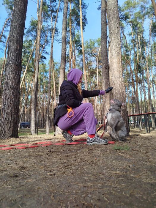 Кінолог Дресерування Київ та область