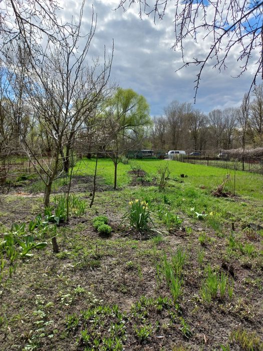 Продам дачу в черте города