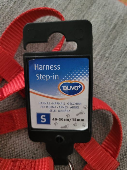 Peitoral + Coleira para cão 10€