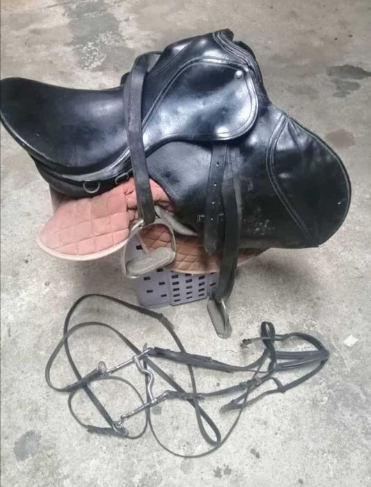 Cela portuguesa e arreios