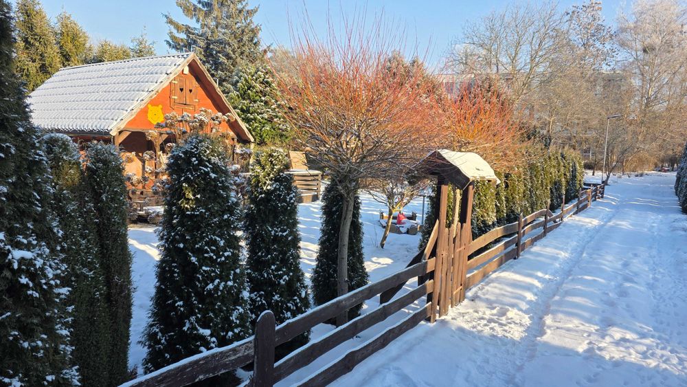 Słoneczna działka z DUŻYM TARASEM przy Ogrodzie Botanicznym! ROD 450m2