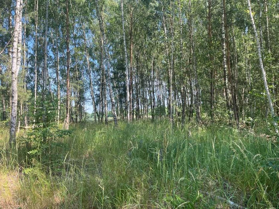 Działka na sprzedaż - Chłopowo - Więcej