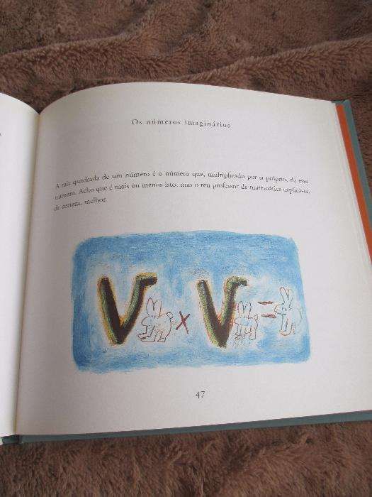Livro- Pequeno livro de desmatemática