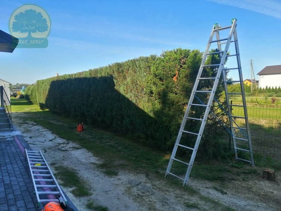 Tree Serv Wycinka oraz pielęgnacja drzew i krzewów.