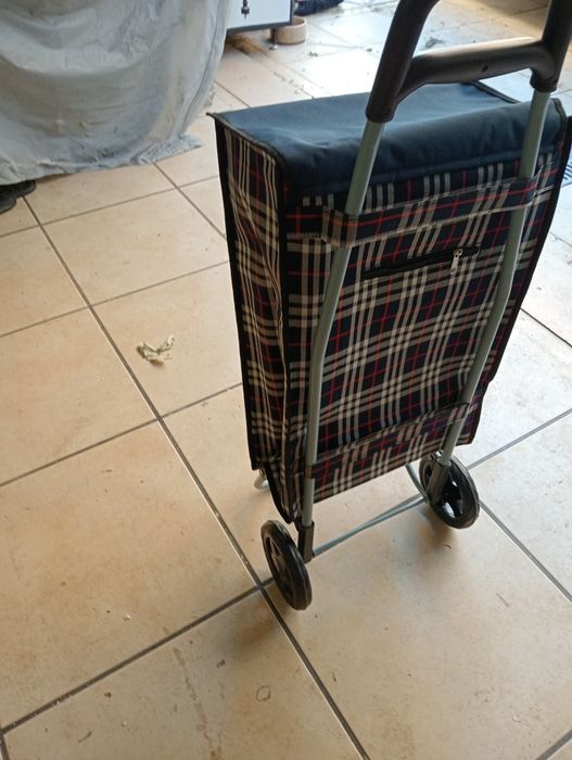 Carrinho de compras novo