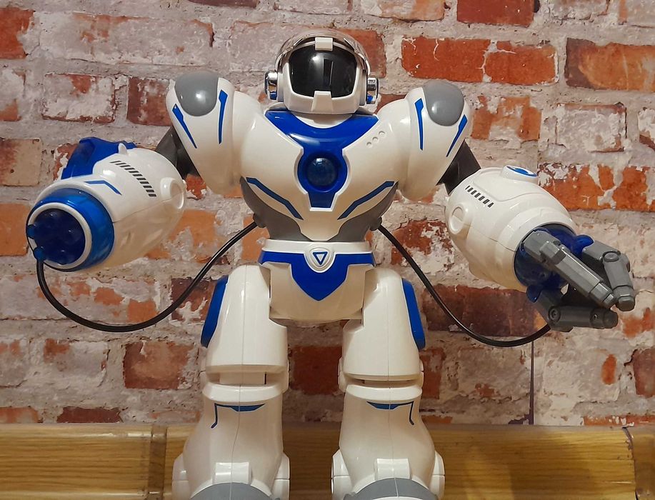 Interatywny robot