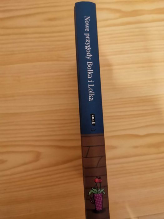 Tytuł książki ,, Nowe przygody Bolka i Lolka''