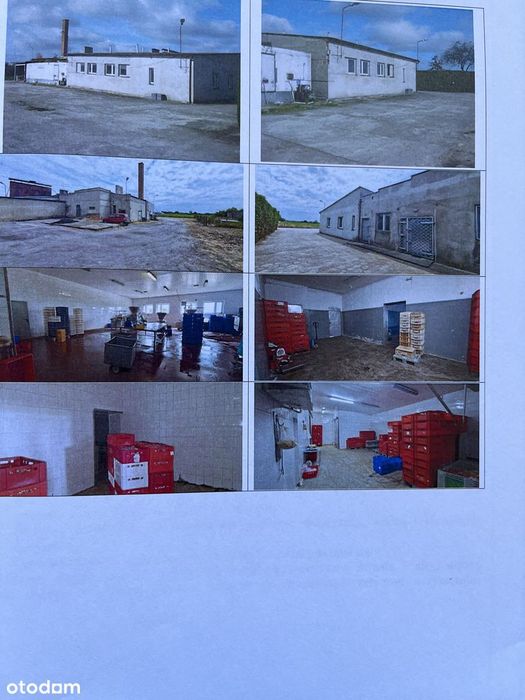 Hala magazynowa z biurem i rampą, 790 m², zamknięty teren