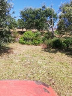 Vendo 5 Terrenos na zona de Tomar