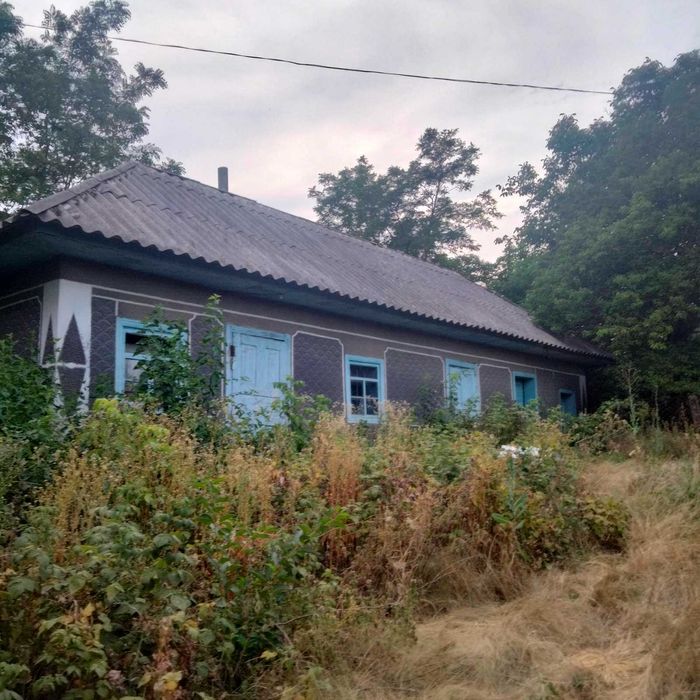 Продам дом в с.Осычки.Савранского района.