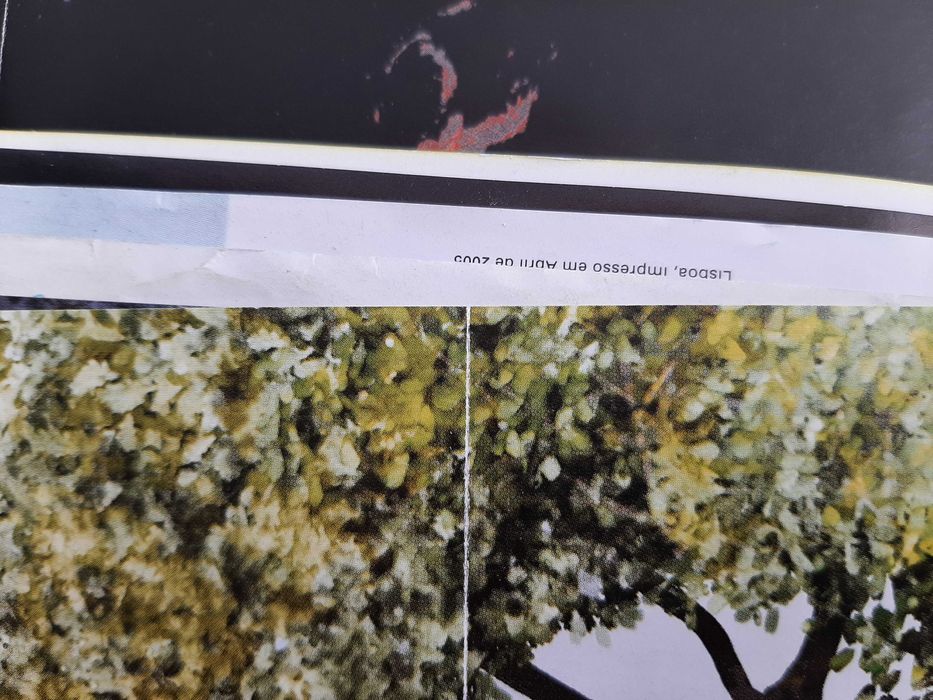 Revistas National Geographic Portugal