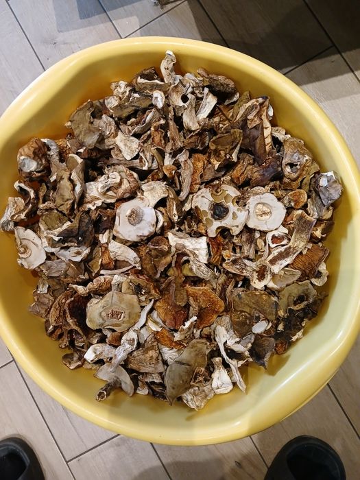 Grzyby  Prawdziwki suszone